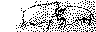 paleo4.bmp (448 bytes)