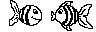pesci.bmp (446 bytes)
